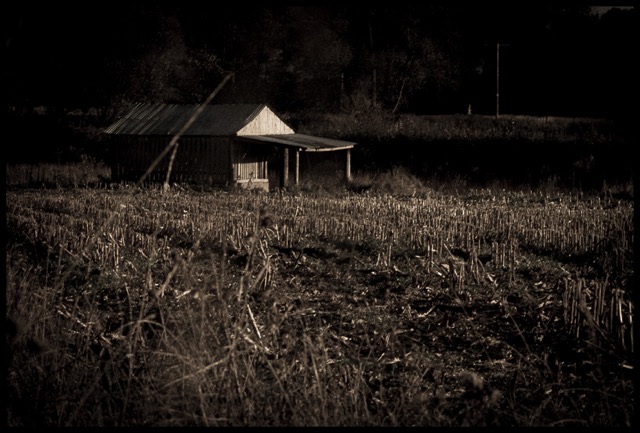 Old Hut.