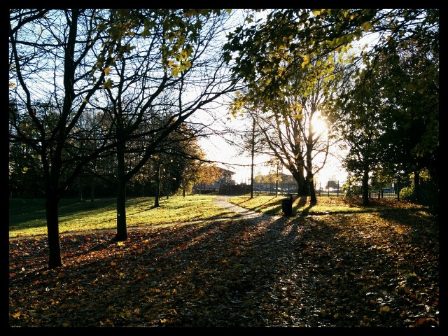 Autumn Arrival.